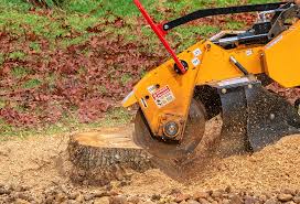 Best Lawn Mowing  in Claypool Hill, VA