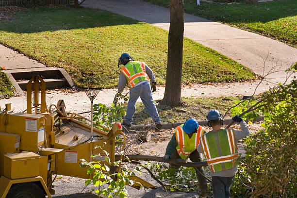 Best Utility Line Clearance  in Claypool Hill, VA